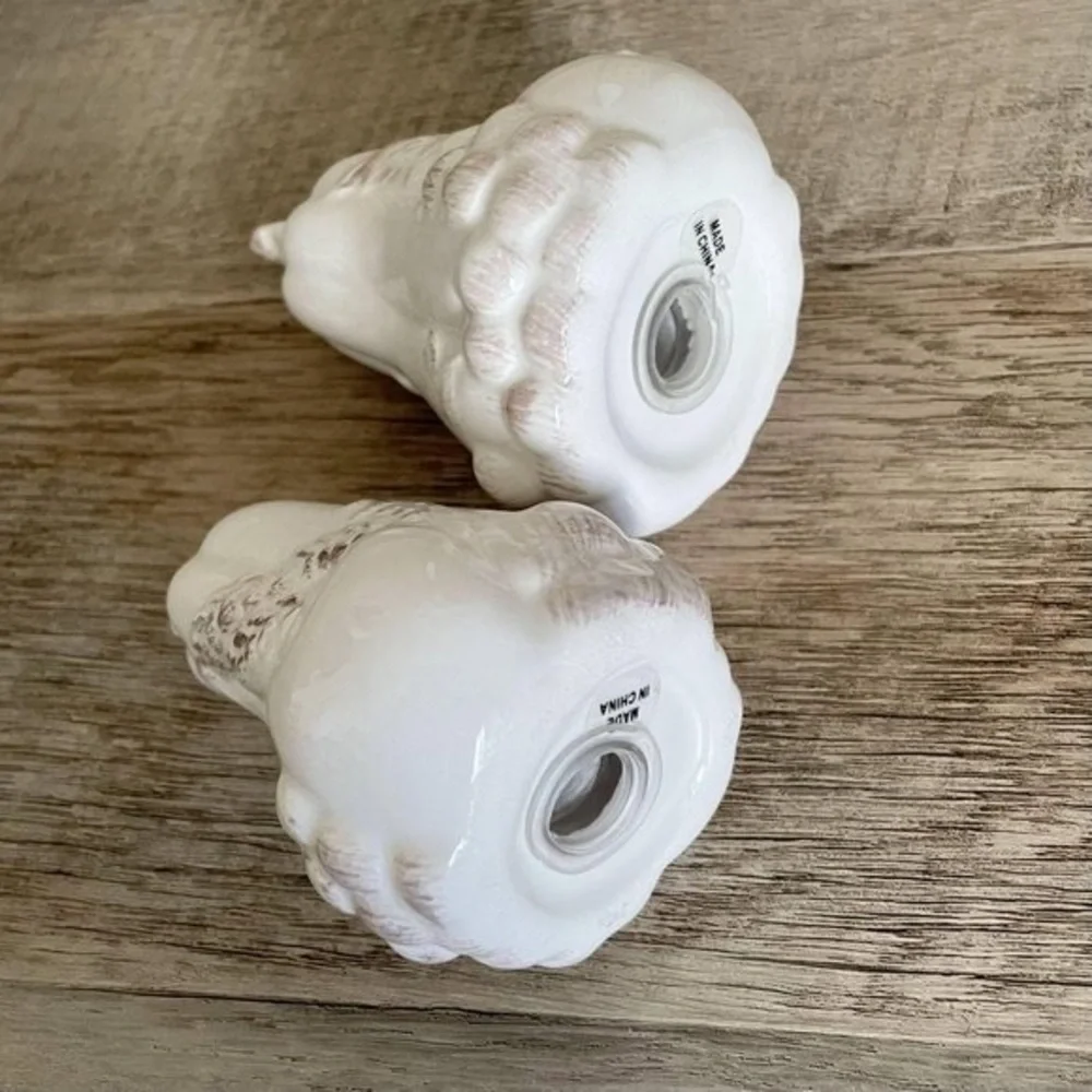 🌺 Bianca American Atelier Ceramic Bird Salt & Pepper Shakers NEW